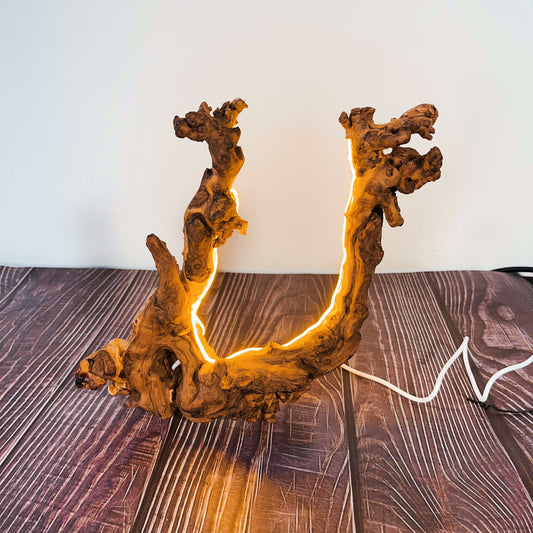 Driftwood Table Lamp,Wooden Night Lamp,Handcrafted Root Lamp