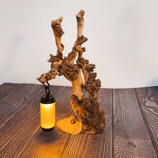 Driftwood Table Lamp,Wooden Night Lamp,Handcrafted Root Lamp